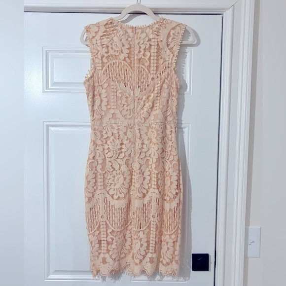 Main Strip Lace Blush Pink Dress - Picture 2 of 3